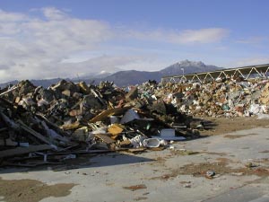 Проблема бытового мусора. Надо ли уничтожать ценный вторичный ресурс?